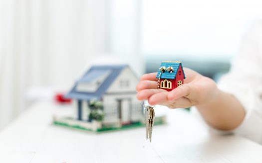 Profesional Inmobiliario