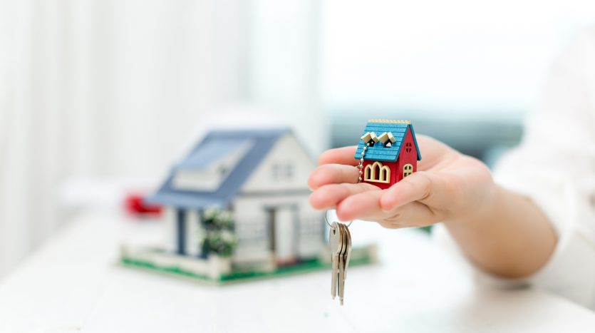 Profesional Inmobiliario
